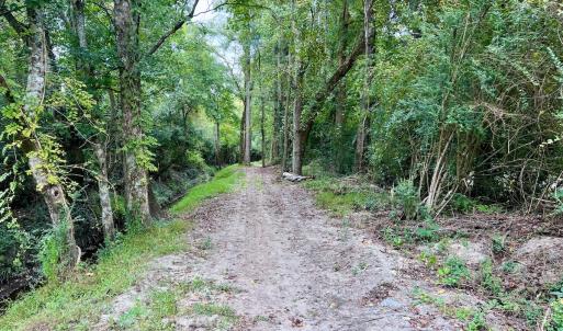 Photo #31 of SOLD property in Off Van Gert Rd, Winterville, NC 29.3 acres