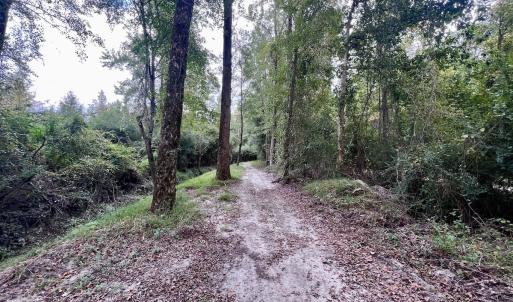 Photo #34 of SOLD property in Off Van Gert Rd, Winterville, NC 29.3 acres