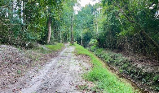 Photo #35 of SOLD property in Off Van Gert Rd, Winterville, NC 29.3 acres