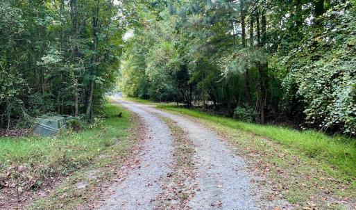 Photo #36 of SOLD property in Off Van Gert Rd, Winterville, NC 29.3 acres