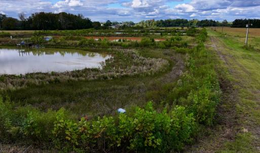 Photo #11 of SOLD property in Off Castoria Rd, Walstonburg, NC 22.8 acres