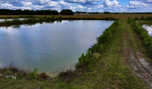 Photo #15 of SOLD property in Off Castoria Rd, Walstonburg, NC 22.8 acres