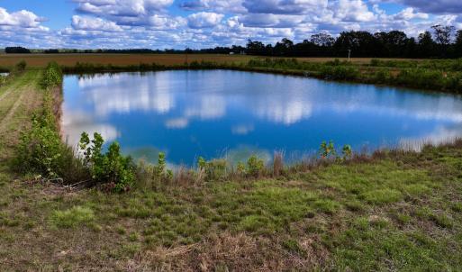 Photo #17 of SOLD property in Off Castoria Rd, Walstonburg, NC 22.8 acres