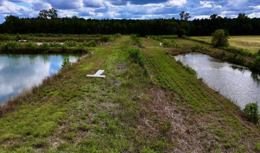 Photo #18 of SOLD property in Off Castoria Rd, Walstonburg, NC 22.8 acres