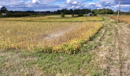 Photo #20 of SOLD property in Off Castoria Rd, Walstonburg, NC 22.8 acres
