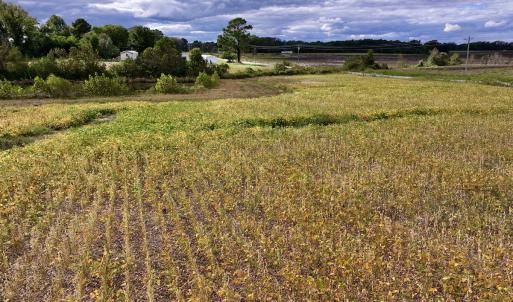 Photo #26 of SOLD property in Off Castoria Rd, Walstonburg, NC 22.8 acres