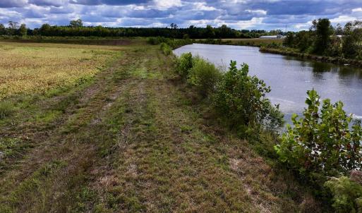 Photo #27 of SOLD property in Off Castoria Rd, Walstonburg, NC 22.8 acres