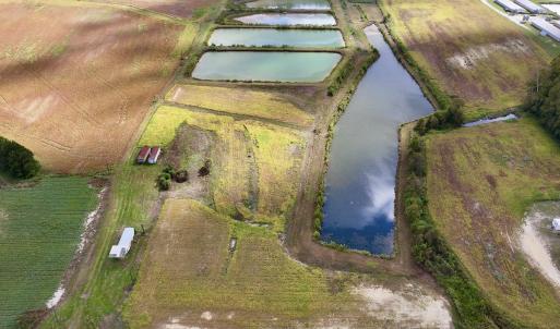 Photo #29 of SOLD property in Off Castoria Rd, Walstonburg, NC 22.8 acres