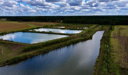 Photo #5 of SOLD property in Off Castoria Rd, Walstonburg, NC 22.8 acres