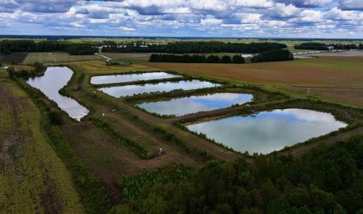 Photo #7 of SOLD property in Off Castoria Rd, Walstonburg, NC 22.8 acres