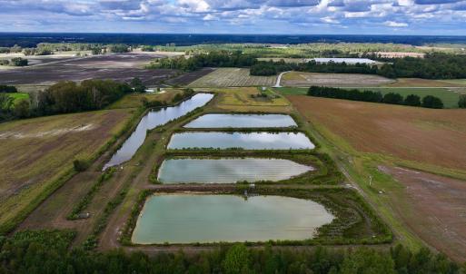 Photo #8 of SOLD property in Off Castoria Rd, Walstonburg, NC 22.8 acres