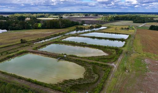 Photo #9 of SOLD property in Off Castoria Rd, Walstonburg, NC 22.8 acres