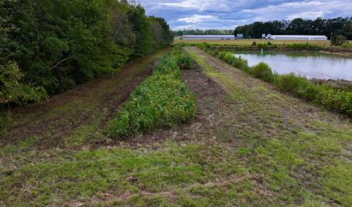Photo #10 of SOLD property in Off Castoria Rd, Walstonburg, NC 22.8 acres