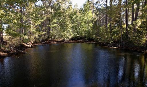 Photo #12 of SOLD property in Off Highway 9, Dillon, SC 26.3 acres