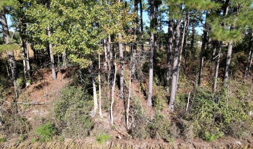 Photo #15 of Off Highway 9, Dillon, SC 26.3 acres