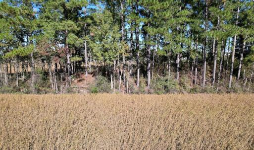 Photo #16 of Off Highway 9, Dillon, SC 26.3 acres