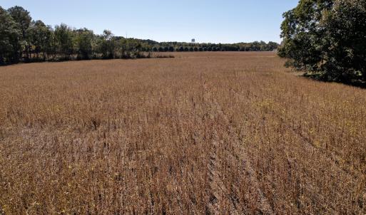 Photo #20 of Off Highway 9, Dillon, SC 26.3 acres