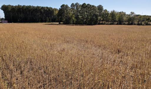 Photo #21 of Off Highway 9, Dillon, SC 26.3 acres