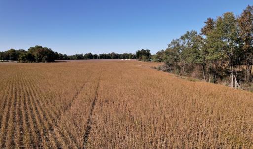Photo #22 of Off Highway 9, Dillon, SC 26.3 acres