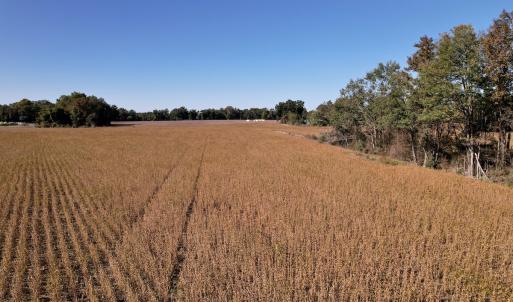 Photo #22 of Off Highway 9, Dillon, SC 26.3 acres