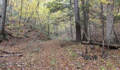 Photo #16 of 2551 Brushy Fork Rd , Head Waters, VA 14.1 acres