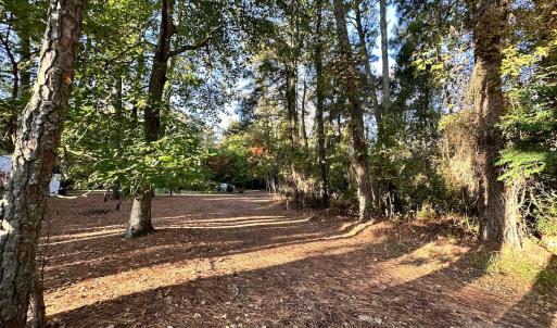 Photo #10 of SOLD property in Off Mason Dr, Chincoteague, VA 0.2 acres