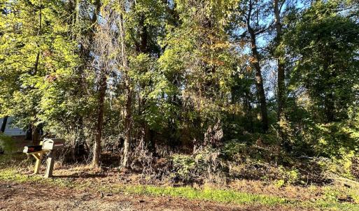 Photo #3 of SOLD property in Off Mason Dr, Chincoteague, VA 0.2 acres