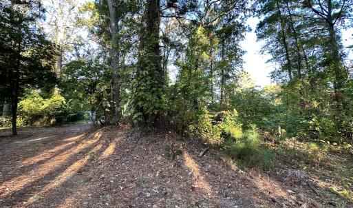 Photo #6 of SOLD property in Off Mason Dr, Chincoteague, VA 0.2 acres