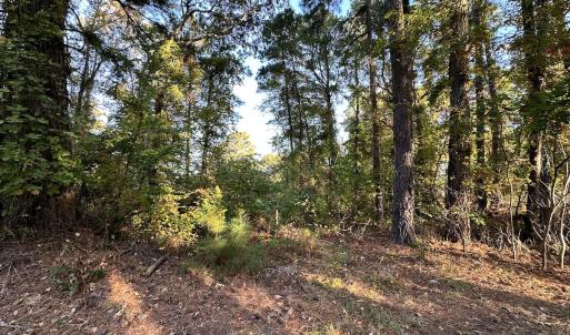 Photo #7 of SOLD property in Off Mason Dr, Chincoteague, VA 0.2 acres