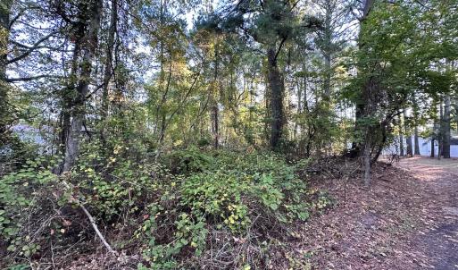 Photo #8 of SOLD property in Off Mason Dr, Chincoteague, VA 0.2 acres