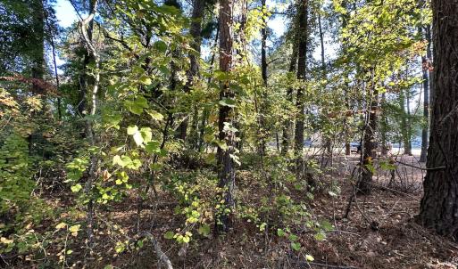 Photo #9 of SOLD property in Off Mason Dr, Chincoteague, VA 0.2 acres