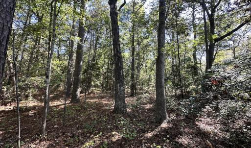 Photo #11 of Off Hollies Church Rd, Melfa, VA 16.8 acres