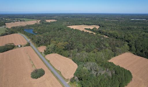 Photo #5 of Off Hollies Church Rd, Melfa, VA 16.8 acres