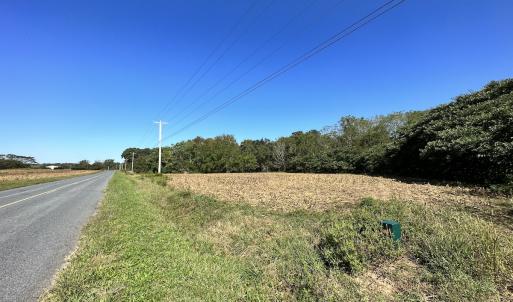 Photo #6 of Off Hollies Church Rd, Melfa, VA 16.8 acres
