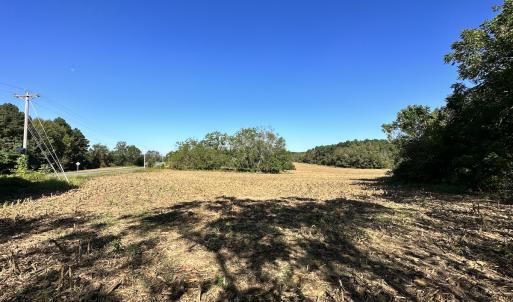 Photo #10 of Off Hollies Church Rd, Melfa, VA 78.9 acres