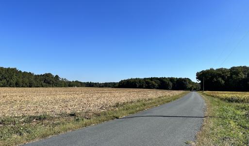 Photo #11 of Off Hollies Church Rd, Melfa, VA 78.9 acres