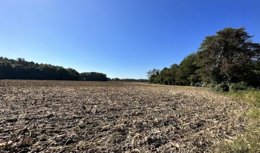 Photo #12 of Off Hollies Church Rd, Melfa, VA 78.9 acres