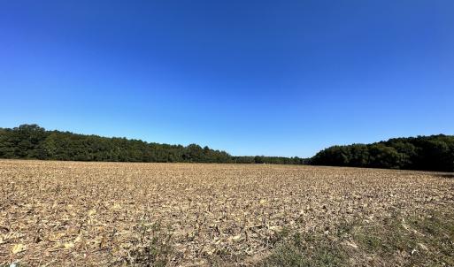 Photo #18 of Off Hollies Church Rd, Melfa, VA 78.9 acres