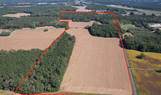 Photo #2 of Off Hollies Church Rd, Melfa, VA 78.9 acres