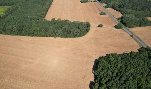 Photo #6 of Off Hollies Church Rd, Melfa, VA 78.9 acres