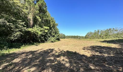 Photo #22 of Off Hollies Church Rd, Melfa, VA 78.9 acres