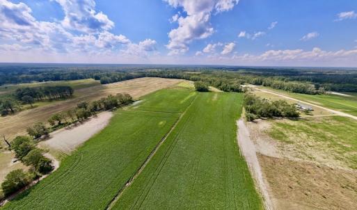 Photo #2 of SOLD property in Off Craven Farms Road, Vanceboro, NC 18.6 acres