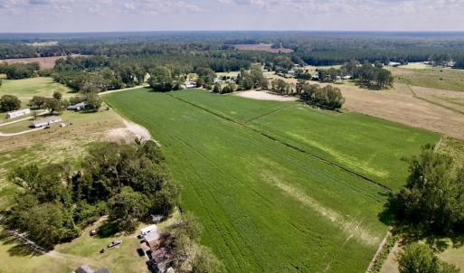 Photo #15 of SOLD property in Off Craven Farms Road, Vanceboro, NC 18.6 acres