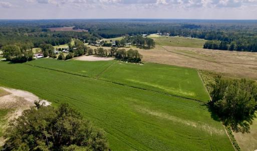 Photo #16 of SOLD property in Off Craven Farms Road, Vanceboro, NC 18.6 acres