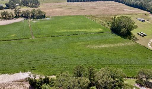 Photo #17 of SOLD property in Off Craven Farms Road, Vanceboro, NC 18.6 acres