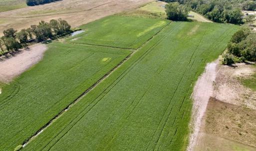 Photo #18 of SOLD property in Off Craven Farms Road, Vanceboro, NC 18.6 acres