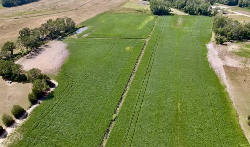 Photo #19 of SOLD property in Off Craven Farms Road, Vanceboro, NC 18.6 acres