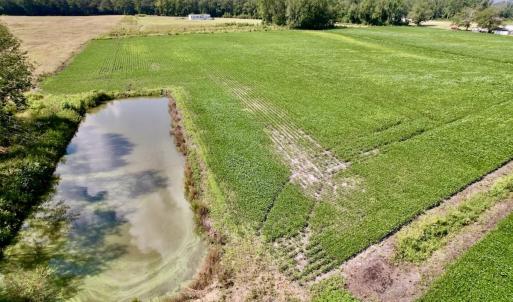 Photo #20 of SOLD property in Off Craven Farms Road, Vanceboro, NC 18.6 acres