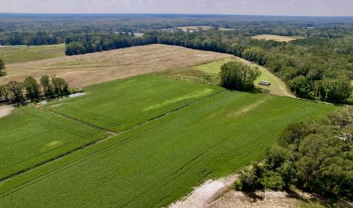 Photo #3 of SOLD property in Off Craven Farms Road, Vanceboro, NC 18.6 acres