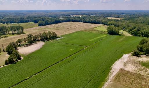 Photo #4 of SOLD property in Off Craven Farms Road, Vanceboro, NC 18.6 acres